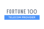 Fortune 100
